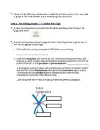 Maybe you would like to learn more about one of these? Virtual Lab Online Learning Mitosis In Plant Animal Cells Honors Ap College