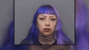 Shocking details of mother-son thwarted school terror attack plan