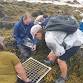 Have-a-go volunteer intertidal surveys event image