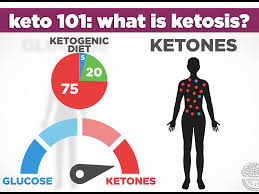 Get your personalized keto diet plan that works. 9 Tips To Get Into Ketosis The Keto Family
