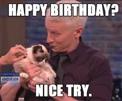 Anderson Backstage Blog Happy Birthday Grumpy Cat