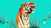 How do you have big fun in the hot desert sun? Animal Songs Walk Like A Camel By Storybots Netflix Jr Youtube