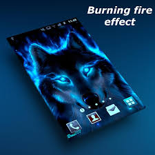 Personalisieren sie ihren homescreen mit wolf bilder! Wolf Live Wallpaper Fur Android Apk Herunterladen
