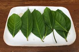 Beli daun bay leaf online berkualitas dengan harga murah terbaru 2021 di tokopedia! Ajb S Guide To Essential Herbs And Spices For Your Indonesian Kitchen A Journey Bespoke