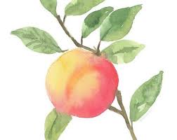 Watercolor Lemon Wall Art Watercolor Botanical Lemon Wall Etsy Kitchen Wall Art Vintage Peach Art Watercolor Fruit