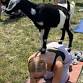 Goat Yoga @ 3rd Planet Brewing Nov 9 event image