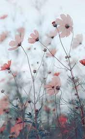 Cute Pink Nails Beautiful Aderitacristina Miniensaio Miniensaiodiadascriancas Flower Iphone Wallpaper Flower Phone Wallpaper Flower Aesthetic