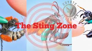 Enter The Sting Zone With Coyote Peterson Geekdad
