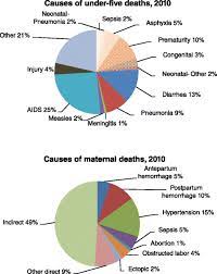 Causes Of Newborn Child And Maternal Deaths In South Africa Used In Download Scientific Diagram