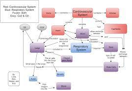 Concept Map Of Asia Concept Mapping In Science | Seventh Grade