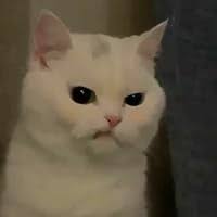 Pieces of Home by Becca Neil