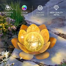 Image result for Lotus discolor