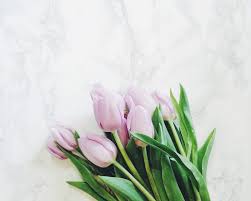 Choose from hundreds of free pink backgrounds. Instagram Photography Backdrop Ideas For Under 25