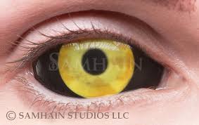 Demon Nun Single Lens Samhain Contact Lenses Contact lenses are thin, clear plastic disks you wear in your eye to improve your vision. demon nun single lens