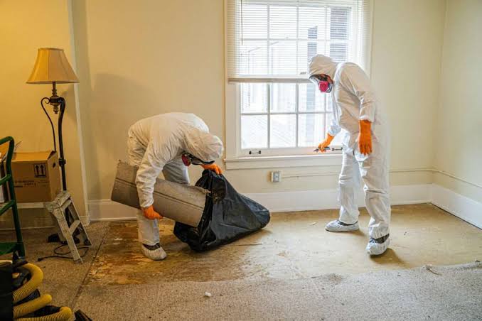 Everything You Need To Know About Water Damage Restoration | MouldMen
