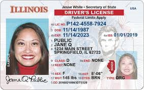 To renew your vehicle registration, you can go to an illinois secretary of state facility and wait in line, or you can do what martin did, and go online for a new license plate unfortunately, instead of going to the state's legitimate cyberdrive illinois website, a web search took martin to a misleading site. Don T Rush To Dmv White Says With Three Month Extension For Licenses