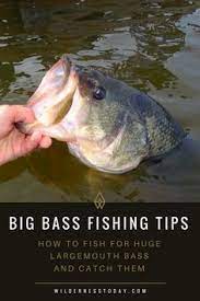 Lean How To Land A Lunker Next Time You Are Out Bass Fishing Fishingtips Learntofish Bigbass Bassfishing Fis Bass Fishing Fishing Tips Fishing Techniques