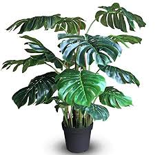 Amazon Com Haus And Sage Artificial Tree For Home And Office Decor Monstera Deliciosa Floor Palm 47 X 39 Artificial Tree Fake Plants Fake Plants Decor
