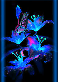 Purple purple aesthetic aesthetic flowers nature. Flower Gif Wallpaper