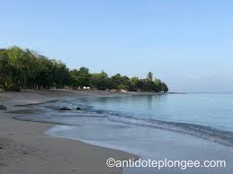 Epingle Sur Port Louis Guadeloupe