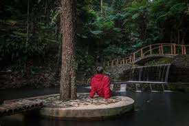 Dengan beberapa fasilitas pendukung wisata yang ada di talaga herang pastinya liburan perjalanan anda akan semakin menyenangkan. Tiket Masuk Talaga Herang Majalengka 2021 Kolam Renang Tirta Indah Harga Tiket Masuk Spot Terbaru 2021 Biaya Parkir Rp 2 000 Untuk Sepeda Motor