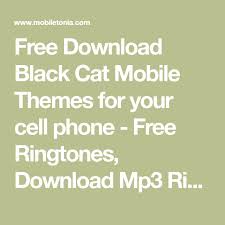 Free Download Black Cat Mobile Themes For Your Cell Phone Free Ringtones Download Mp3 Ringtones Mobile Games Mobile So Black Cat Cell Phone Free Ringtones