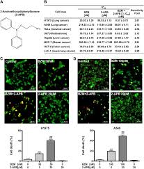 Ein filmgespräch mit wolfgang m. 2 Aminoethoxydiphenylborane Sensitizes Anti Tumor Effect Of Bortezomib Via Suppression Of Calcium Mediated Autophagy Cell Death Disease