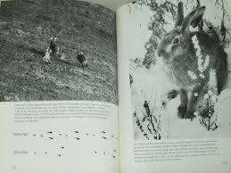 Wetter heute, 18.07.2021 in dunkel ist es morgens bewölkt, die sonne zeigt sich nur vereinzelt bei werten von 19°c. Jagen Heute Dunkel Ulrich Buch Gebraucht Kaufen A02bfl5k01zzh