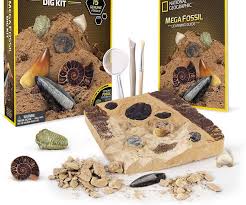 Real Dinosaur Fossil Dig Kit In 2020 Real Dinosaur Dinosaur Fossils Cool Gifts For Kids