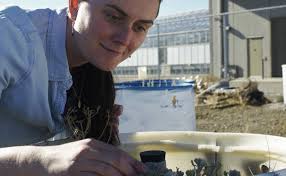 How These Seeds Could Help Prevent Nevada Wildfires