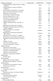 Image result for Mikaniopsis usambarensis