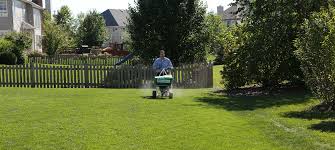 Weed and feed products should be applied no more than twice a year, so one application in the spring, and another in the fall if the first one didn't resolve weed and feed provides myriad benefits for your lawn, most notably the ability to nourish your lawn with fertilizer, and kill weeds with a single application. Weed And Feed 101 Everything You Ve Always Wanted To Know