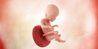 Nahh itu tadi yaa bund untuk cara mengatasi bayi sungsang dalam kandungan, ternyata bisa dibantu suami yaa. Informasi Lengkap Perkembangan Janin Dan Ibu Hamil Minggu Ke 20
