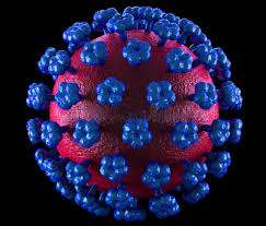 Résultat de recherche d'images pour "fièvre de lassa"