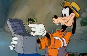 When she follows a rabbit away from her fiance's garden party, she embarks on an adventure that will awaken old memories, test her courage, and her rediscover where her true. Is Disney S Goofy Character Actually A Cow Snopes Com