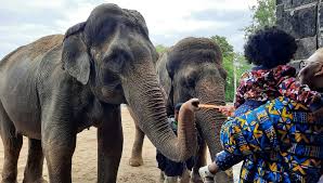 Finesse2Tymes' shocking tape- internet goes wild