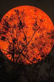 Maybe you would like to learn more about one of these? Pin On Autumn