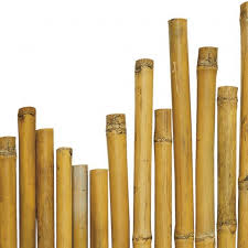 Come arredare casa e giardino con il bambù: Canna In Bambu Lunghezza 240 Cm