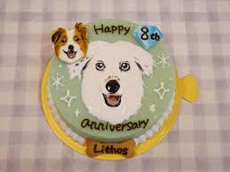 犬用ケーキ専門店☆Dog sweets LAB (@dog_sweets_lab) • Instagram photos and videos