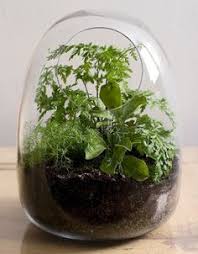 Design Sponge Your Home For All Things Design Home Tours Diy Project City Mini Garden Small Terrarium Terrarium Plants