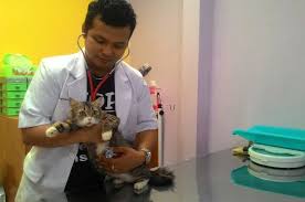 We did not find results for: Mau Jadi Dokter Hewan Ini Hal Hal Yang Harus Lo Perhatikan Nggak Harus Sayang Hewan Kok Semua Halaman Hai