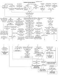It accounted for 29,165 deaths in 2007, with a mortality rate of 9.7 per 100,000 persons. Pathway Sirosis Hepatis