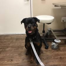 We did not find results for: Shadow Creek Veterinary Clinic 22 Photos 34 Reviews Veterinarians 11041 Shadow Creek Pkwy Pearland Tx Phone Number Yelp