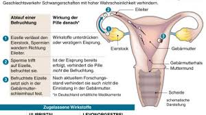 Wenn sie zum ersten mal die pille nehmen, beginnen sie mit der ersten tablette am ersten zyklustag, also am ersten tag ihrer menstruationsblutung. Notfallverhutung Spd Und Grune Wollen Rezeptfreie Pille Danach Welt