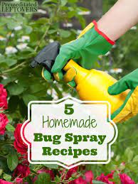 Studies have also proven clove essential oil to be one of the best natural insect repellent. 5 Homemade Bug Spray Recipes