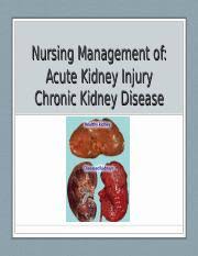 22 cystic diseases of kidney. Aki And Ckd Sc Ppt Nursing Management Of Acute Kidney Injury Chronic Kidney Disease Acute Kidney Injury Aki 20 25 Of The Cardiac Output Prerenal Course Hero