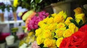 This article will give you some tips on how to choose the freshest flowers no matter where you shop for them.feel the undersides of. Fresh Cut Flowers And Arrangements Stock Footage Video 100 Royalty Free 3401468 Shutterstock