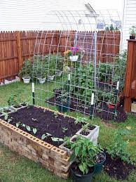 Archway Between Raised Beds For Cucumbers Beans To Climb Up Diy Raised Garden Raised Garden Plants