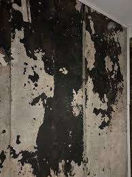 Image result for site:byggahus.se lim