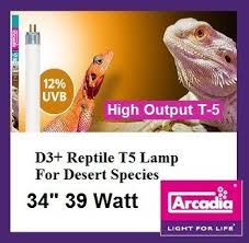 Arcadia 12 Uvb Light D3 34 Reptile Light Desert Tortoise Uvb Light Turtle Uvb Lamp Reptile Light